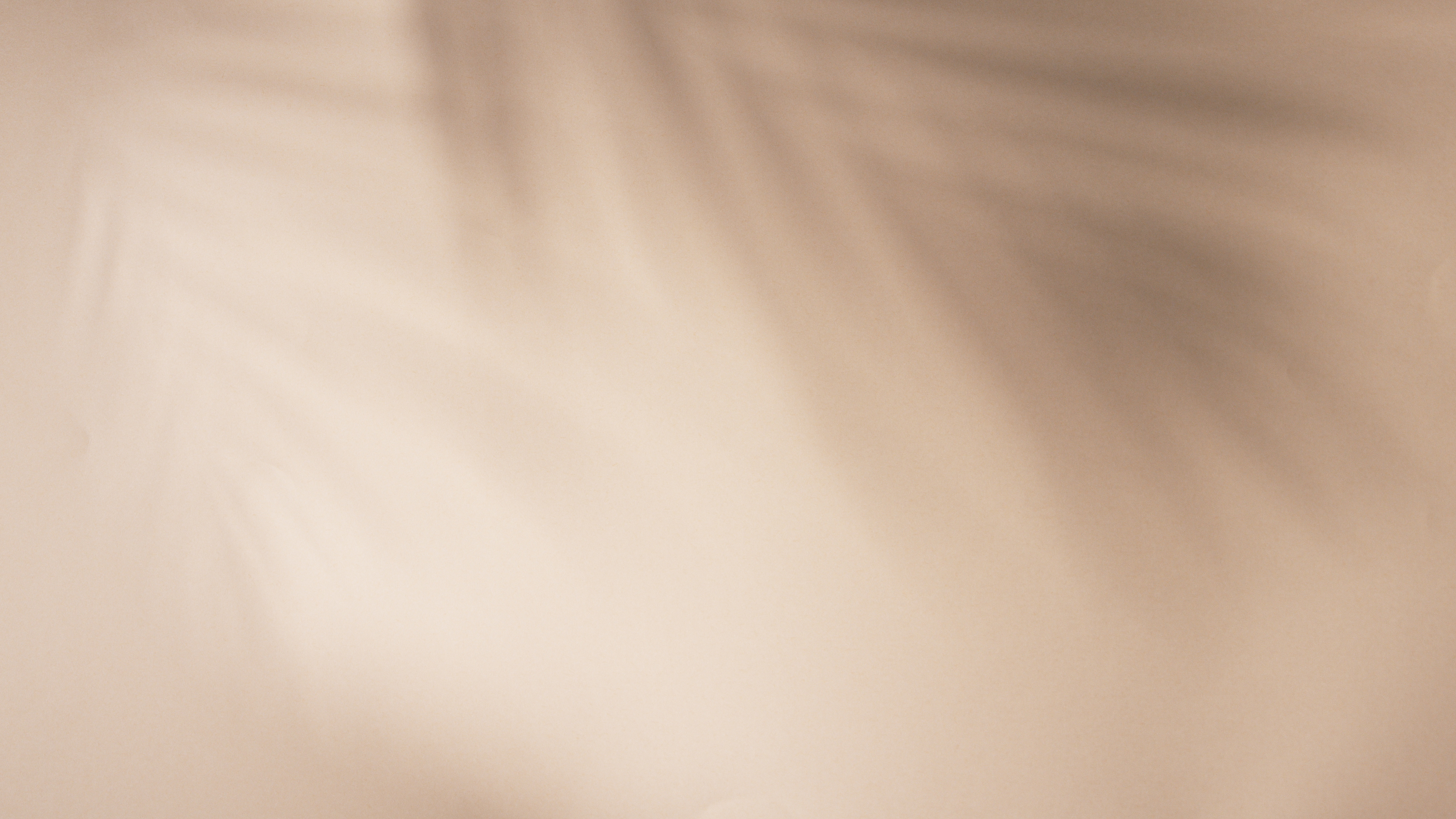 Palm leaves shadow on beige background