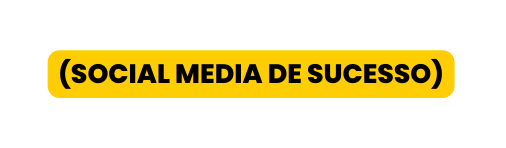 SOCIAL MEDIA DE SUCESSO