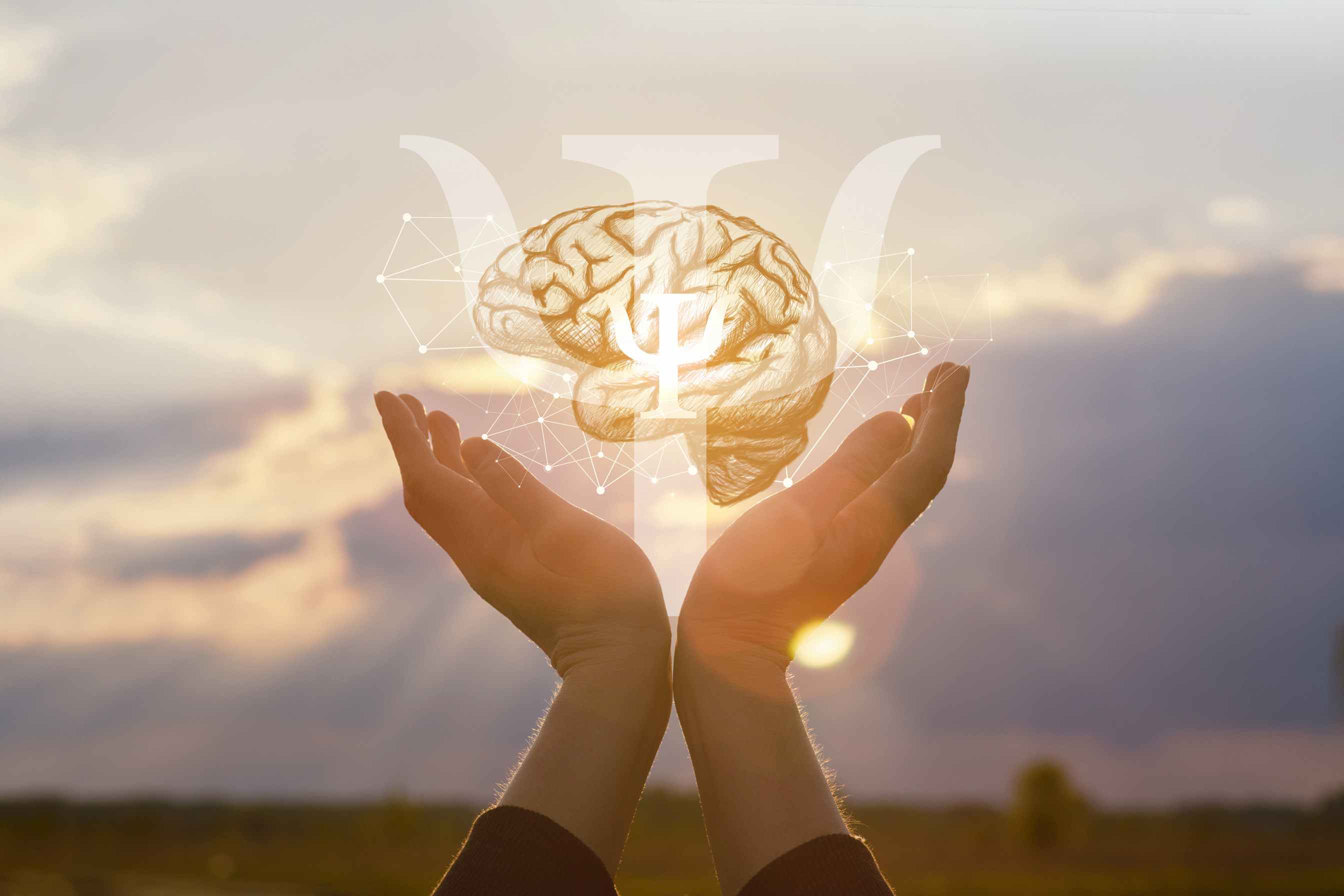 The concept of the psychology of thinking.