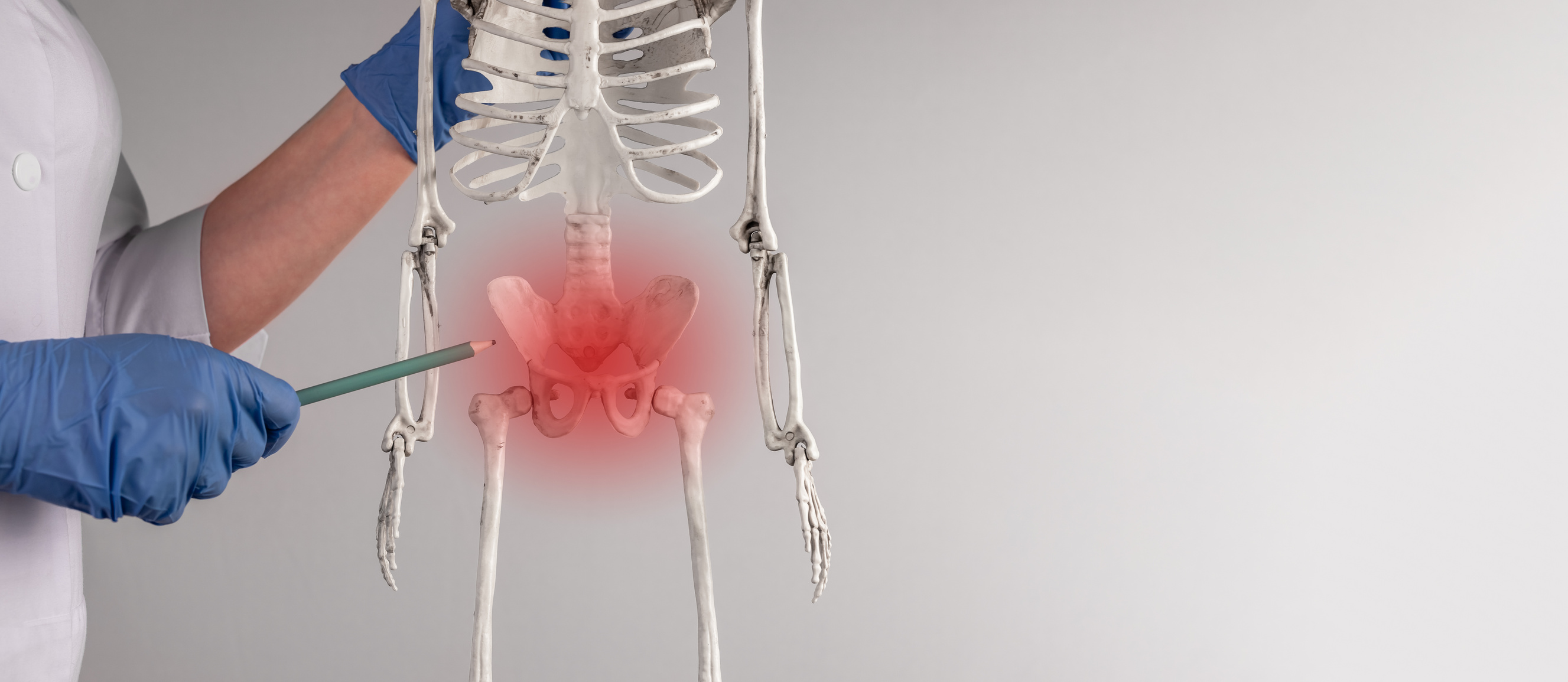 Pelvis, pelvic bone trauma, injury and pain concept on background with copy space